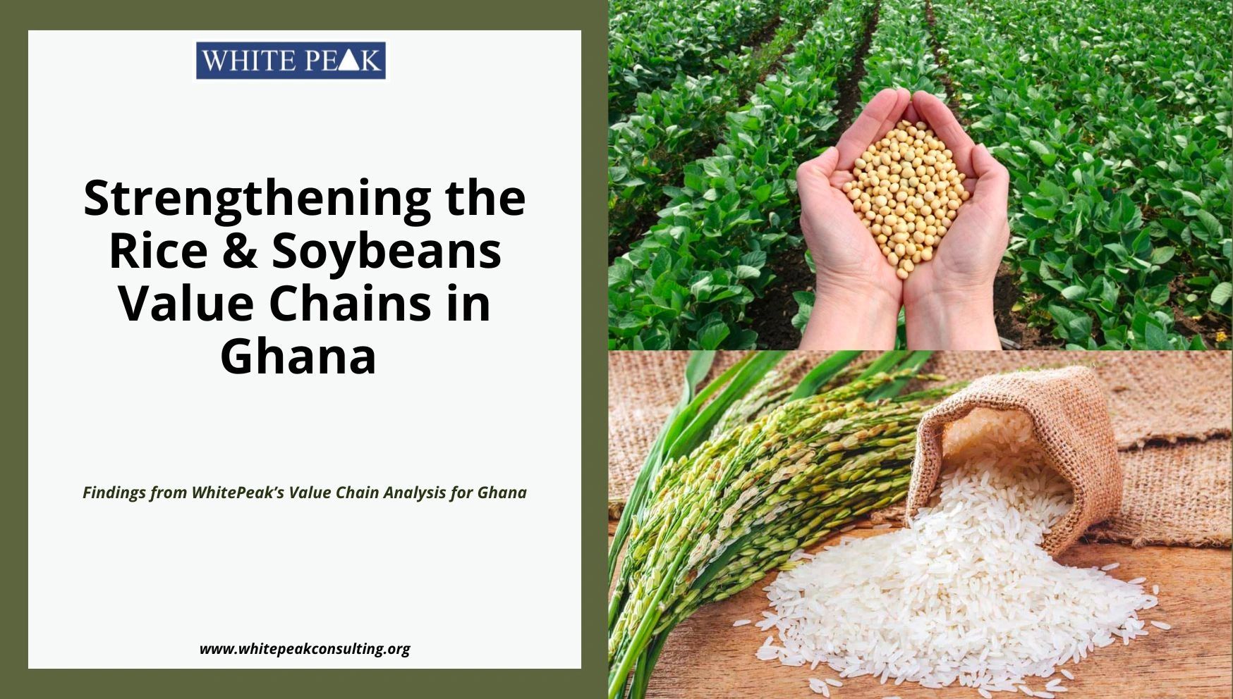 Strengthening the Rice & Soybeans Value Chains in Ghana